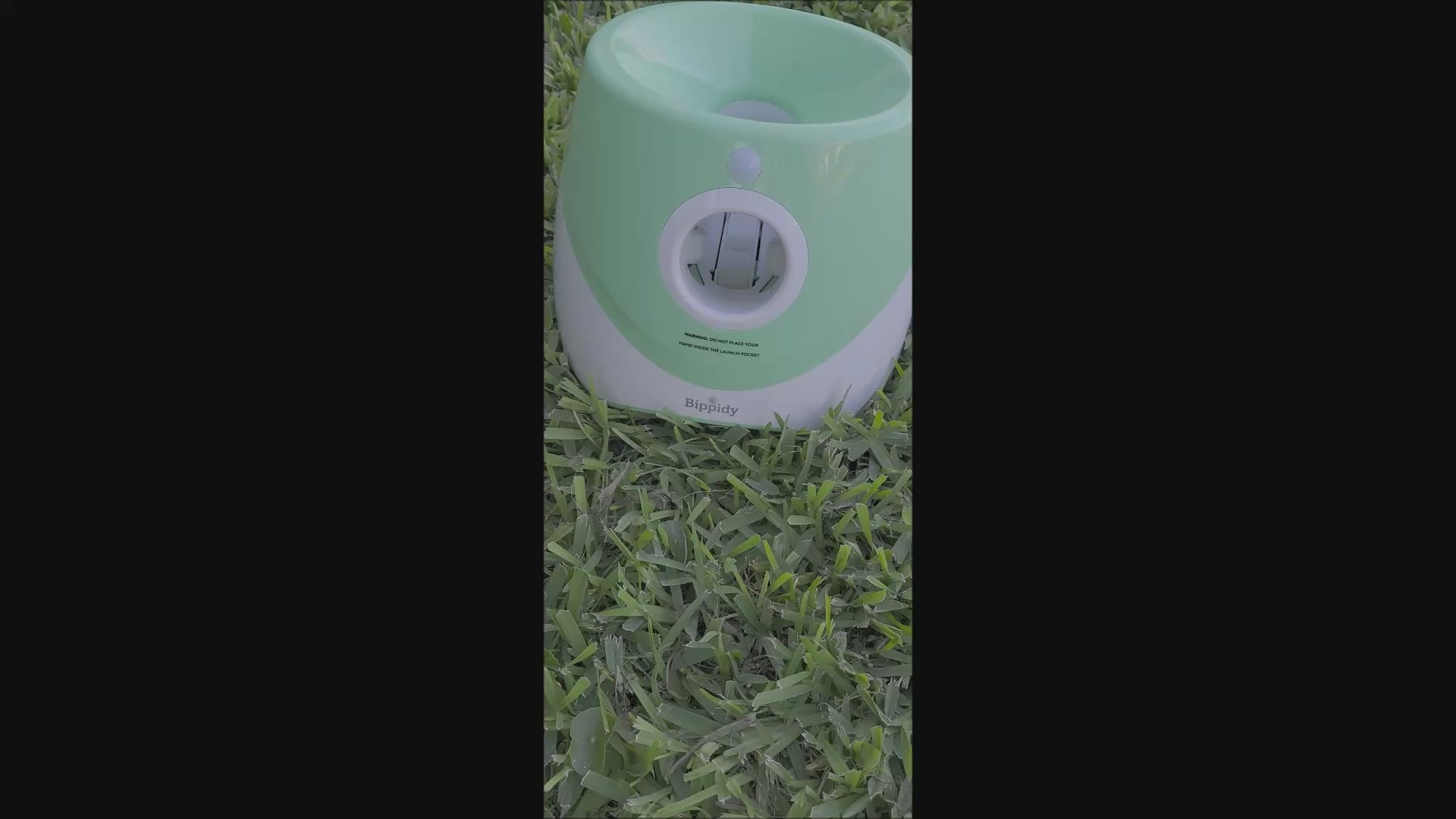 Bippidy Dog Ball Launcher